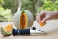 measures the sugar content of the organic melon with Brix refractometer Royalty Free Stock Photo