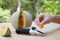 measures the sugar content of the organic melon with Brix refractometer Royalty Free Stock Photo