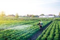 Farmer with a mist sprayer blower processes the potato plantation. Protection and care. Fumigator fogger. Environmental damage Royalty Free Stock Photo