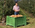 Farmer in modern apple orchard