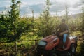 Farmer mowing between fruit trees in his orchard. Royalty Free Stock Photo