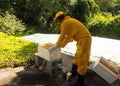 A beekeeper getting ready to perform a split at an apiary in the Caribbean Royalty Free Stock Photo