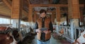 Farmer in orange vest using tablet computer in modern dairy farm facility cowshed. Agribusiness owner checking data hold Royalty Free Stock Photo