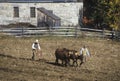 Farmer with Oxen