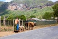 Farmer and Oxen-Drawn Sled, Vinales, Cuba