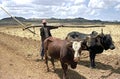 Farmer with oxen and plow on the road to cropland