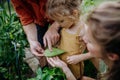 Farmer parents showing their little daughter leaf attacked by aphids,teaching her careing of the plants. Sustainable Royalty Free Stock Photo