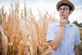 Farmer pensive at the disastrous effects of drought on corn field all burned Royalty Free Stock Photo