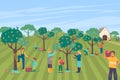 Farmer people character together pick apple large orchard, family farm worker collecting pome tree flat vector