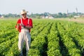 Farmer in pepper fields