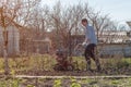 Farmer performing garden soil tillage with old poor cultivator tiller agricultural machine