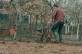 Farmer performing garden tillage with an old motor cultivator