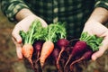 Farmer person holding beet vegetables harvest in hands closeup 3D render digital illustration.