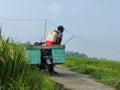 a farmer with a pesticide tube in his backpack