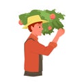 Farmer picking apples from tree branch, agricultural worker in hat working in farm garden