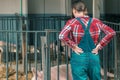 Farmer on pig raising and breeding farm Royalty Free Stock Photo