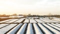 Farmer plantation fields covered with spunbond agrofibre. for Achievement of earlier and high harvest by applying new Royalty Free Stock Photo