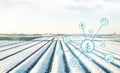 Farmer plantation fields covered with spunbond agrofibre. Concept of managing conditions and processes in agribusiness for an Royalty Free Stock Photo