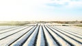 Farmer plantation fields covered with spunbond agrofibre. Use of technology in agriculture for an earlier and higher harvest. Royalty Free Stock Photo