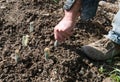 Farmer planting money. Royalty Free Stock Photo