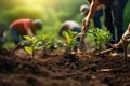 Farmer planting seedlings in fertile soil to reduce global warming, A group of people plants seedlings in the ground in a close-up Royalty Free Stock Photo