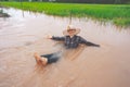 Farmer playing and joyful in heavy flood in rice field