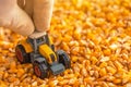 Farmer playing with tractor toy over harvested corn seed
