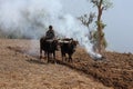 A farmer ploughs his barren field with pile of buring straws on side.