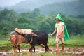 Farmer plowing agricultural field in Karnataka