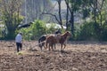 Farmer plowing field with horses