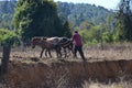 Farmer plowing field with horses