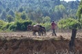 Farmer plowing field with horses Royalty Free Stock Photo