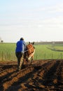 Farmer plowing the field, Spain