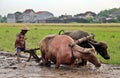 Farmer plowing a field using traditional tools Royalty Free Stock Photo