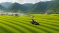 A farmer plowing a lush green field in a remote village