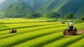 A farmer plowing a lush green field in a remote village.