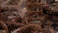 Farmer plowing rice field for planting in organic farm agriculuture in Thailand