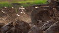 Farmer plowing rice field for planting in organic farm agriculuture in Thailand, farmer in field for working with tractor,