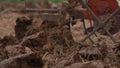 Farmer plowing rice field for planting in organic farm agriculuture in Thailand, farmer in field for working with tractor,