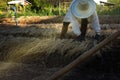 Farmer plowing soil for planting ,