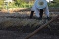 Farmer plowing soil for planting ,