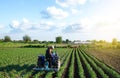 Farmer plows the field on a tractor. Tucking soil, burying weeds and improving flow of air and water into soil. Cultivation