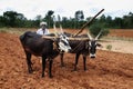 Farmer plows the fields