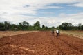 Farmer plows the fields