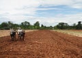 Farmer plows the fields