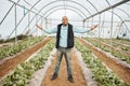 Farmer, portrait or arms up in farming success, greenhouse vegetable harvest or agriculture land growth in Royalty Free Stock Photo