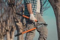 Farmer posing with telescopic ratchet bypass lopper in walnut orchard ready for pruning