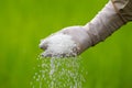 Farmer is pouring chemical fertilizer