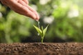 Farmer pouring water on young seedling in soil against blurred background. Space for text Royalty Free Stock Photo