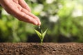 Farmer pouring water on young seedling in soil against blurred background, closeup. Royalty Free Stock Photo